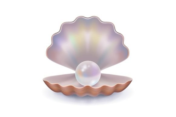 Download Pearl in Open Shell. Gem, Sea, Jewelry. - Premium Bundle