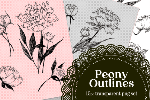 Download Peony Drawn Floral Lines PNG Set - Floral Collection